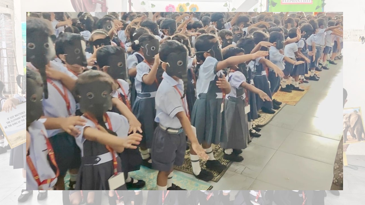 World Elephant Day Celebration